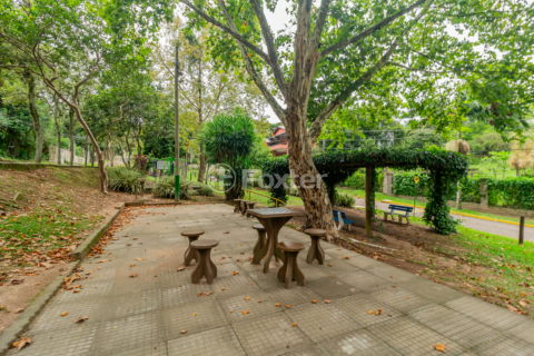 Image 36 - 204664