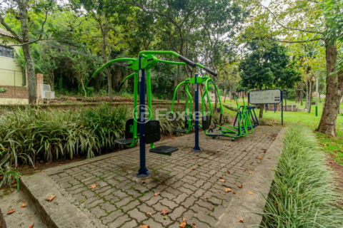 Image 37 - 204664
