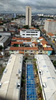 Image 31 - 896134