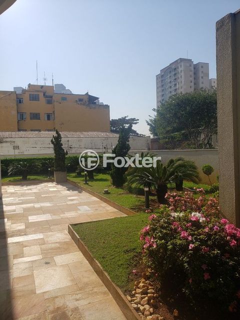 Image 41 - 459406