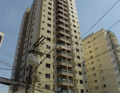 Image 40 - 969013
