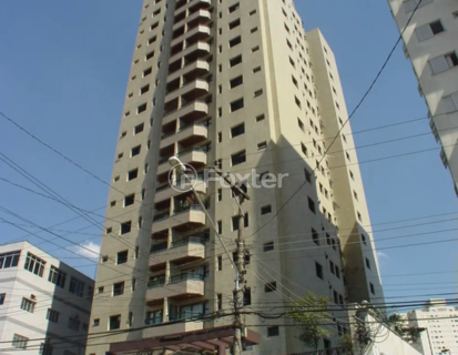 Image 41 - 969013