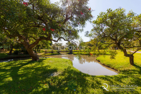 Image 36 - 1012132