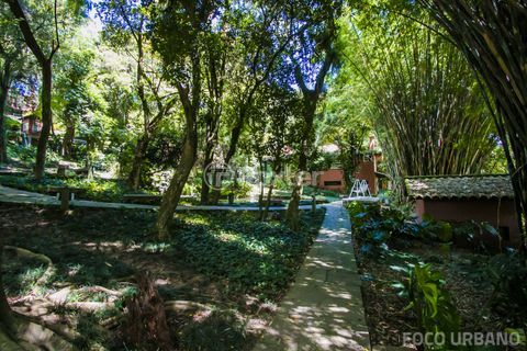 Image 19 - 954525