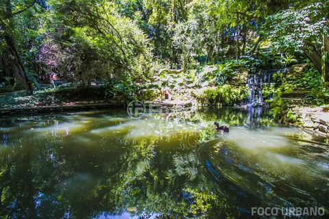 Image 20 - 954525