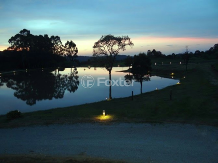 Image 8 - 1039745