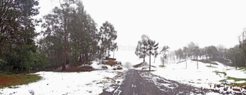 Image 10 - 1039745
