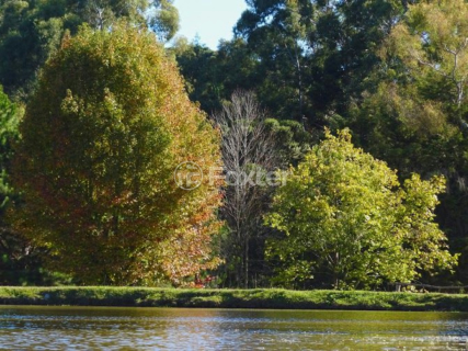 Image 15 - 1039745