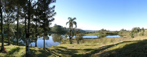 Image 24 - 1039745
