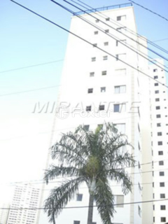 Image 34 - 1033641