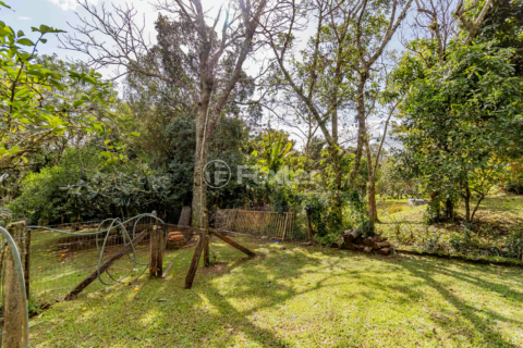 Image 43 - 980132