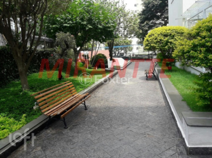 Image 27 - 33662