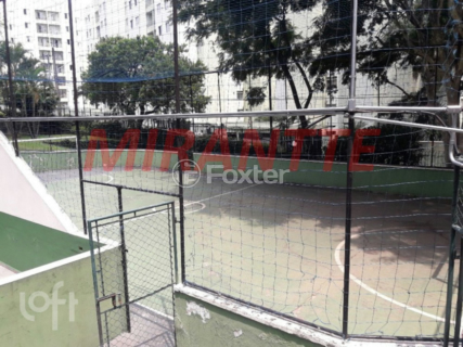 Image 28 - 33662