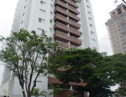 Image 40 - 1036741