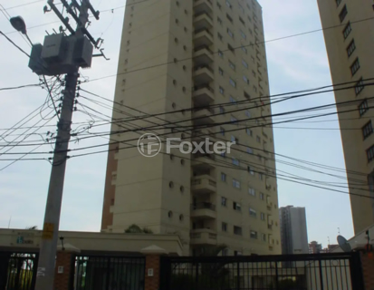 Image 34 - 1033887