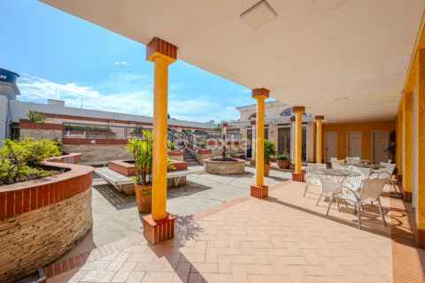 Image 79 - 1029742