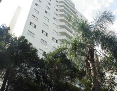 Image 22 - 333810