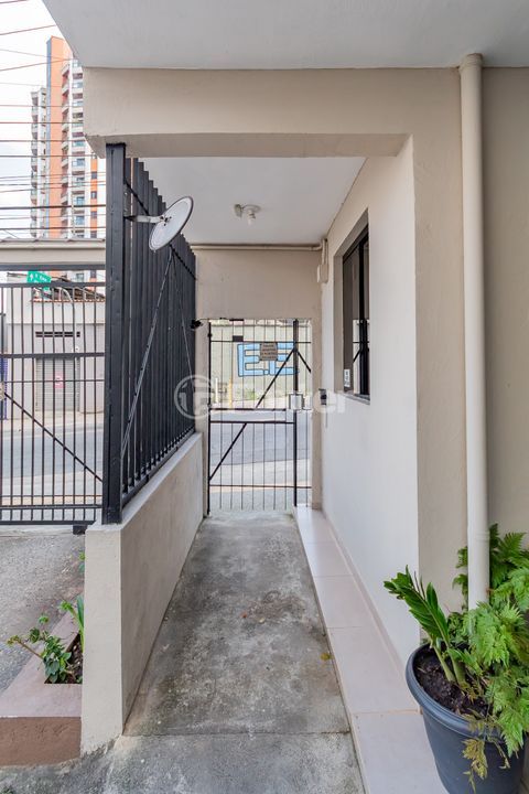 Image 41 - 883520