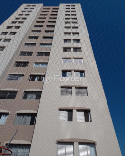 Image 55 - 1031681