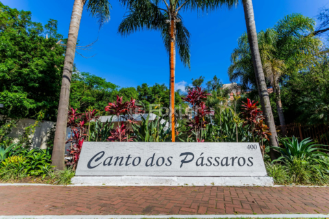 Image 33 - 990951