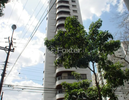 Image 60 - 919213