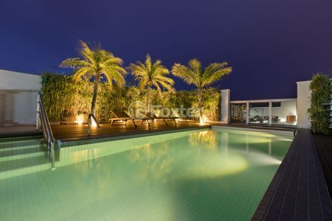 Image 11 - 269800