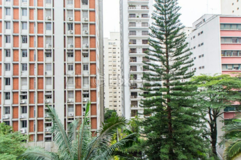 Image 7 - 36743