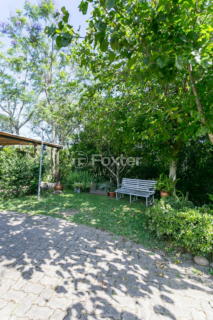 Image 37 - 1025079