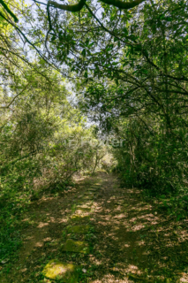 Image 40 - 1025079