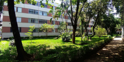 Image 41 - 1032920