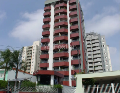 Image 35 - 1034562