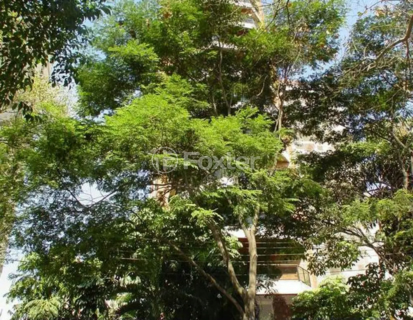 Image 47 - 1033663