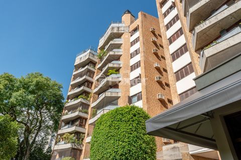 Image 40 - 1009420