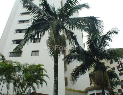 Image 52 - 852875