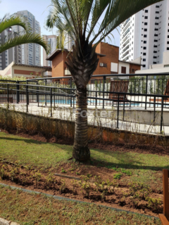 Image 19 - 1028215
