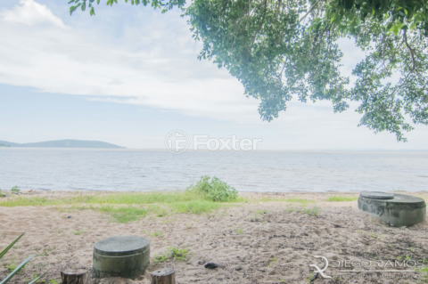 Image 35 - 877696