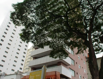 Image 56 - 1032580
