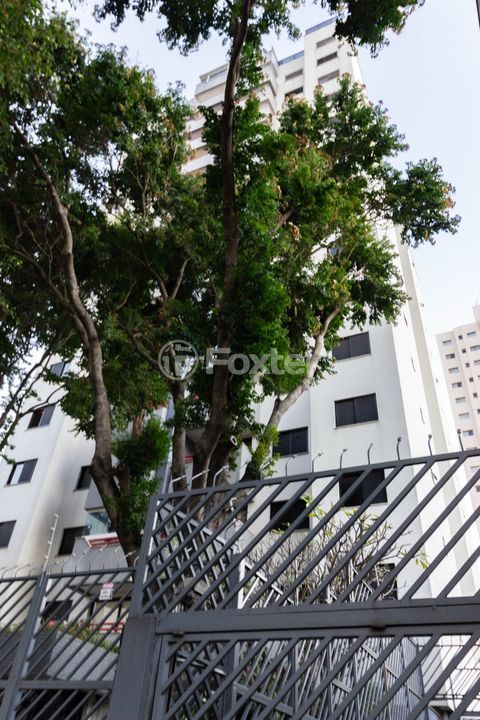 Image 40 - 878466