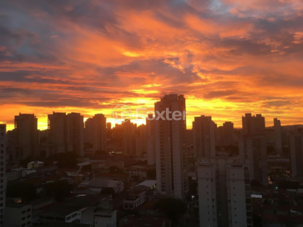 Image 136 - 1030229