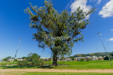 Image 37 - 183186