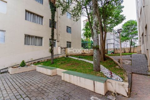 Image 24 - 729932