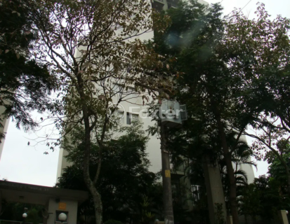 Image 8 - 735894