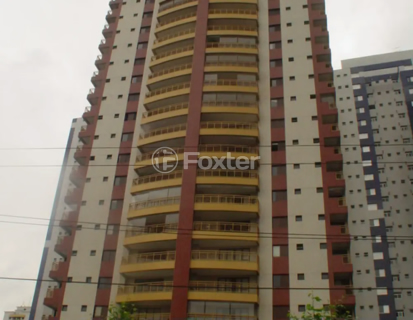 Image 21 - 982335