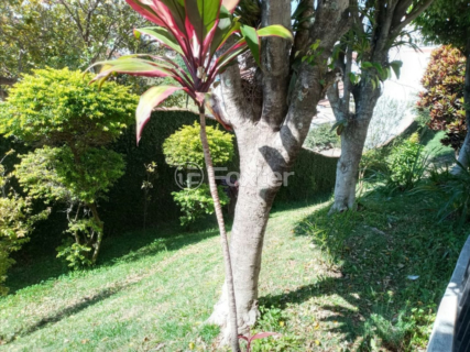 Image 29 - 1032511