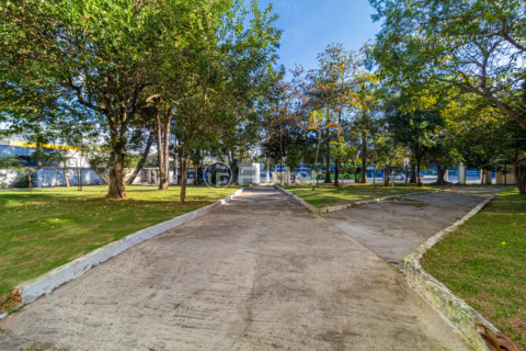 Image 13 - 969916