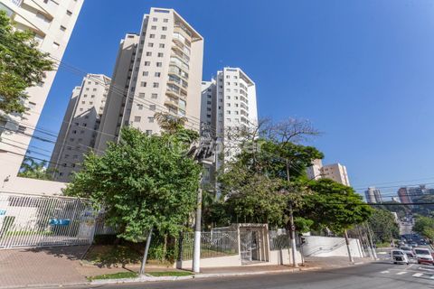 Image 24 - 718073