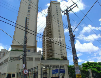Image 42 - 1032254