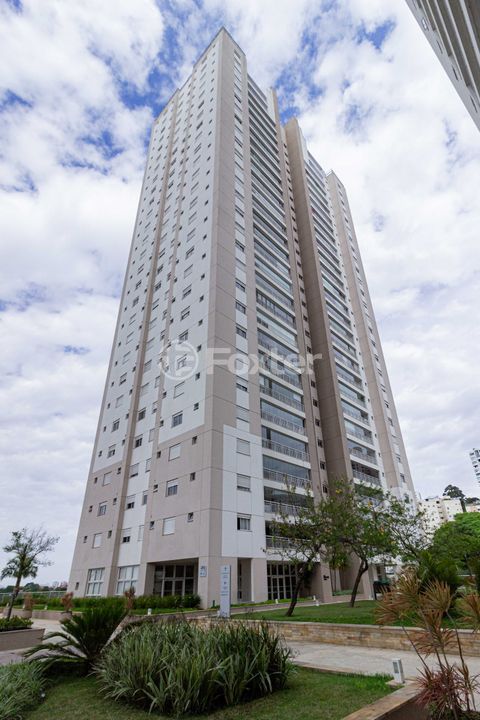 Image 38 - 955519