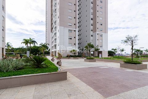 Image 43 - 955519