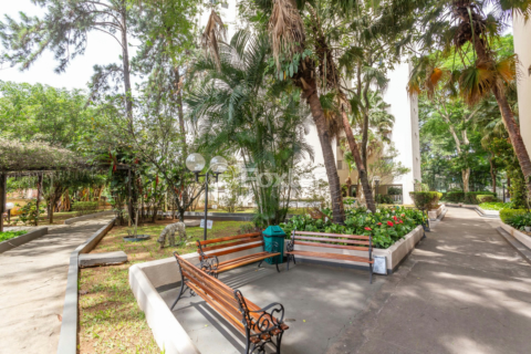 Image 37 - 327537